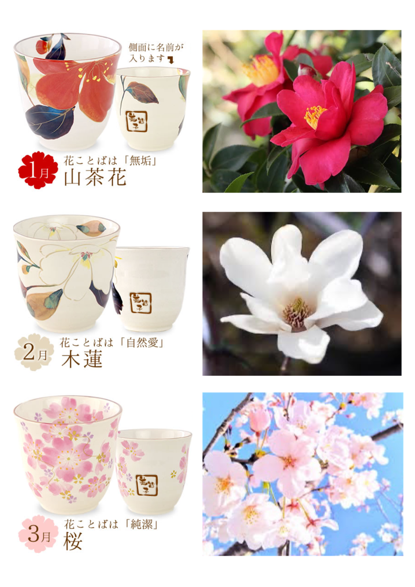季節の花　春　1～3月