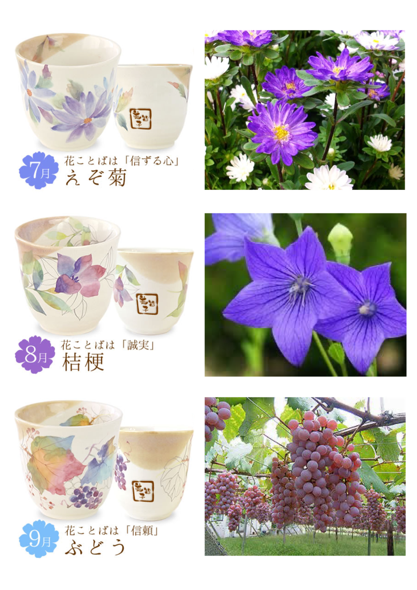季節の花　夏　7～9月