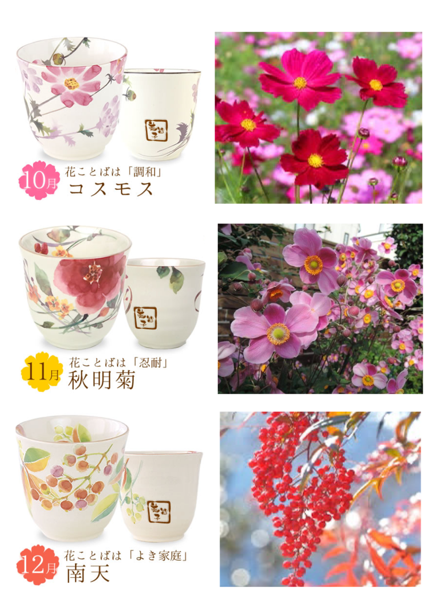 季節の花　秋　10月～11月