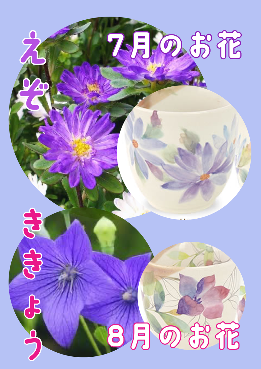 涼し気な夏の花の絵柄もおすすめ