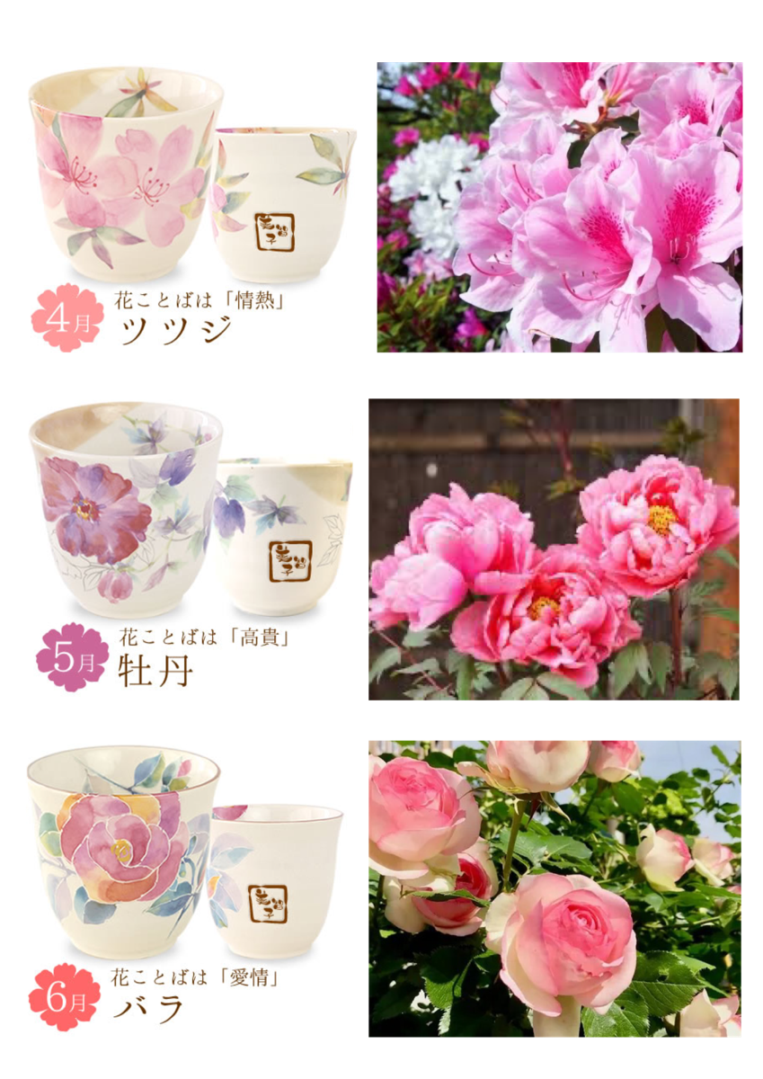 季節の花　春　4～6月
