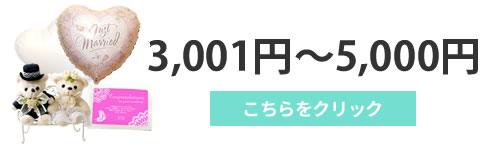 3001円～5000円