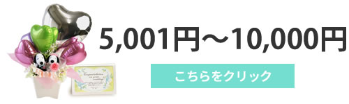5001円～10000円