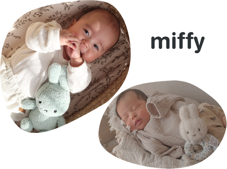 miffy