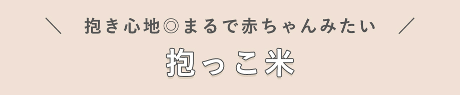 抱き心地◎まるで赤ちゃんみたい　　抱っこ米