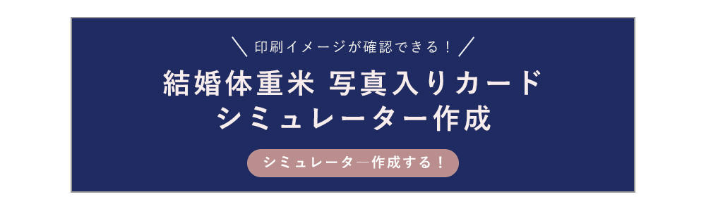 シミュレーター