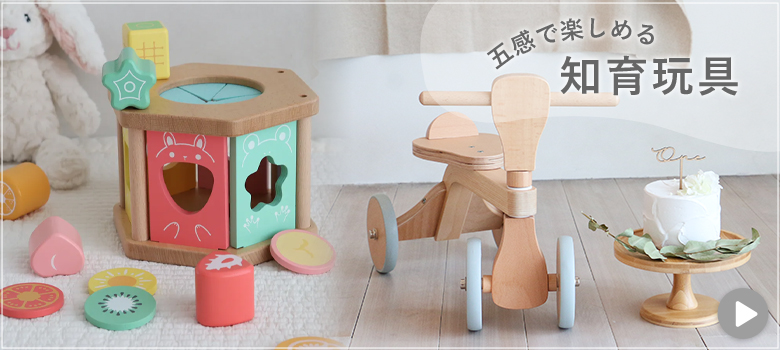 知育玩具カテゴリ