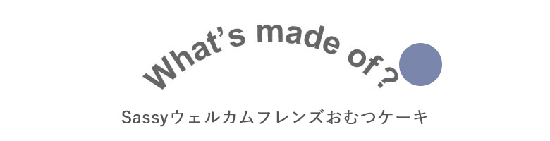 Sassyウェルカムフレンズおむつケーキ