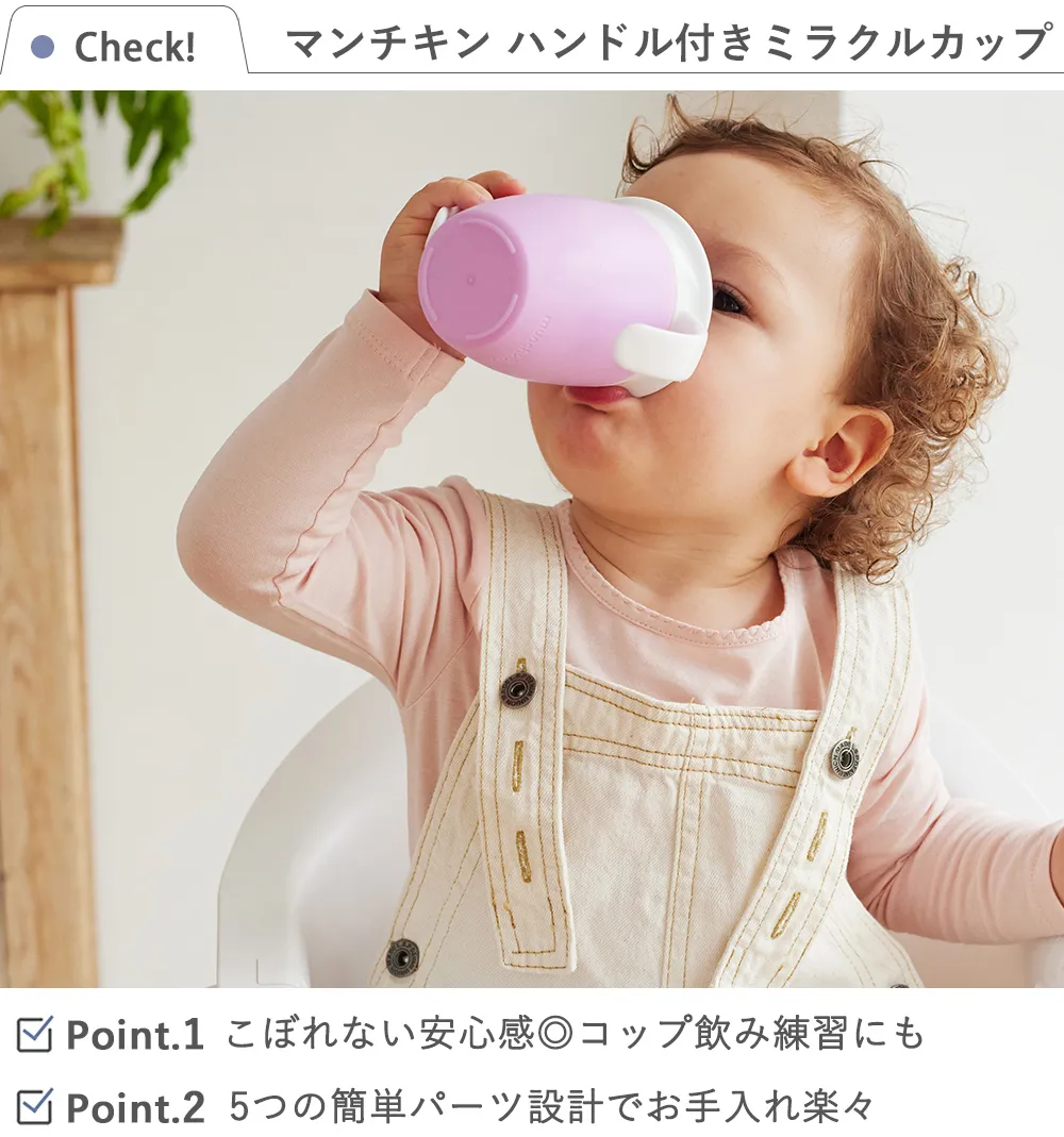 チェック項目