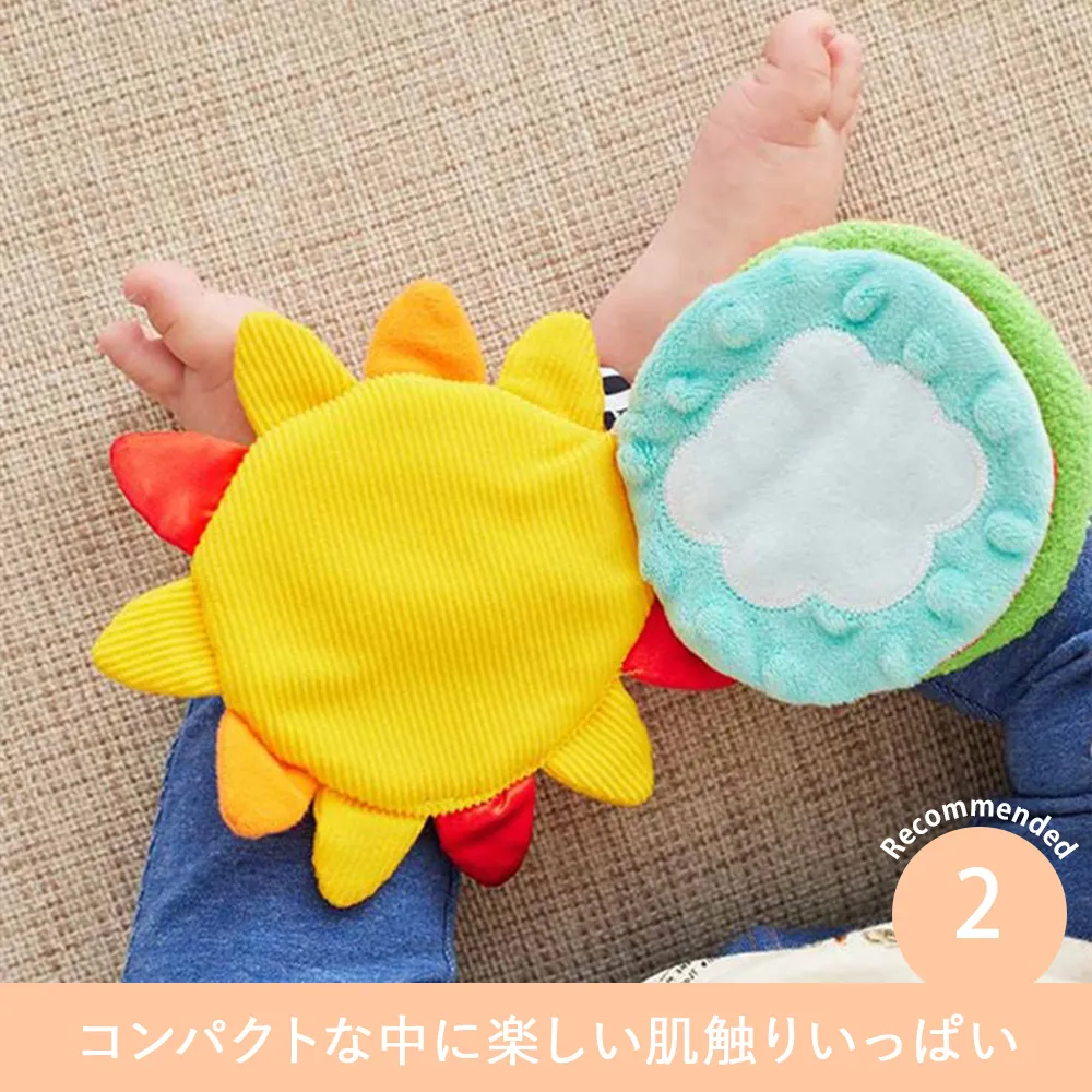 Sassy　かしゃかしゃぬのえほん