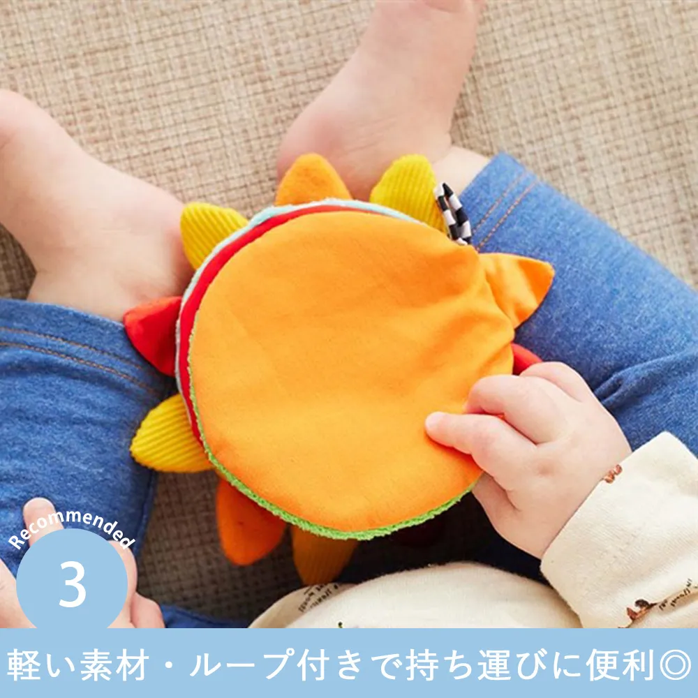 Sassy　かしゃかしゃぬのえほん