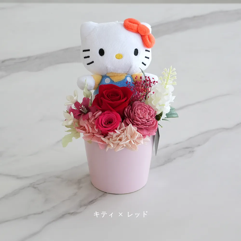 キティ×レッド