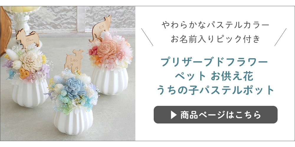 プリザーブドフラワーうちの子パステルポット