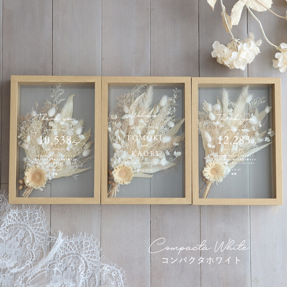 コンパクタホワイト