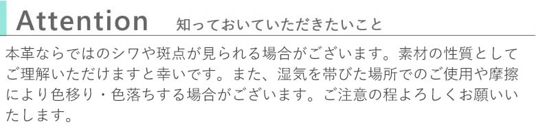 名前入り本革BT眼鏡ケース