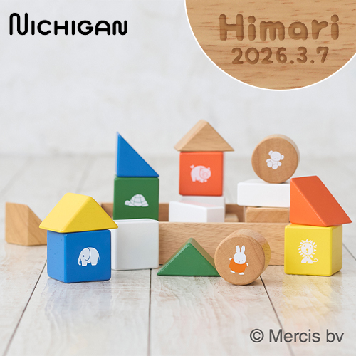 ミッフィーブロックス