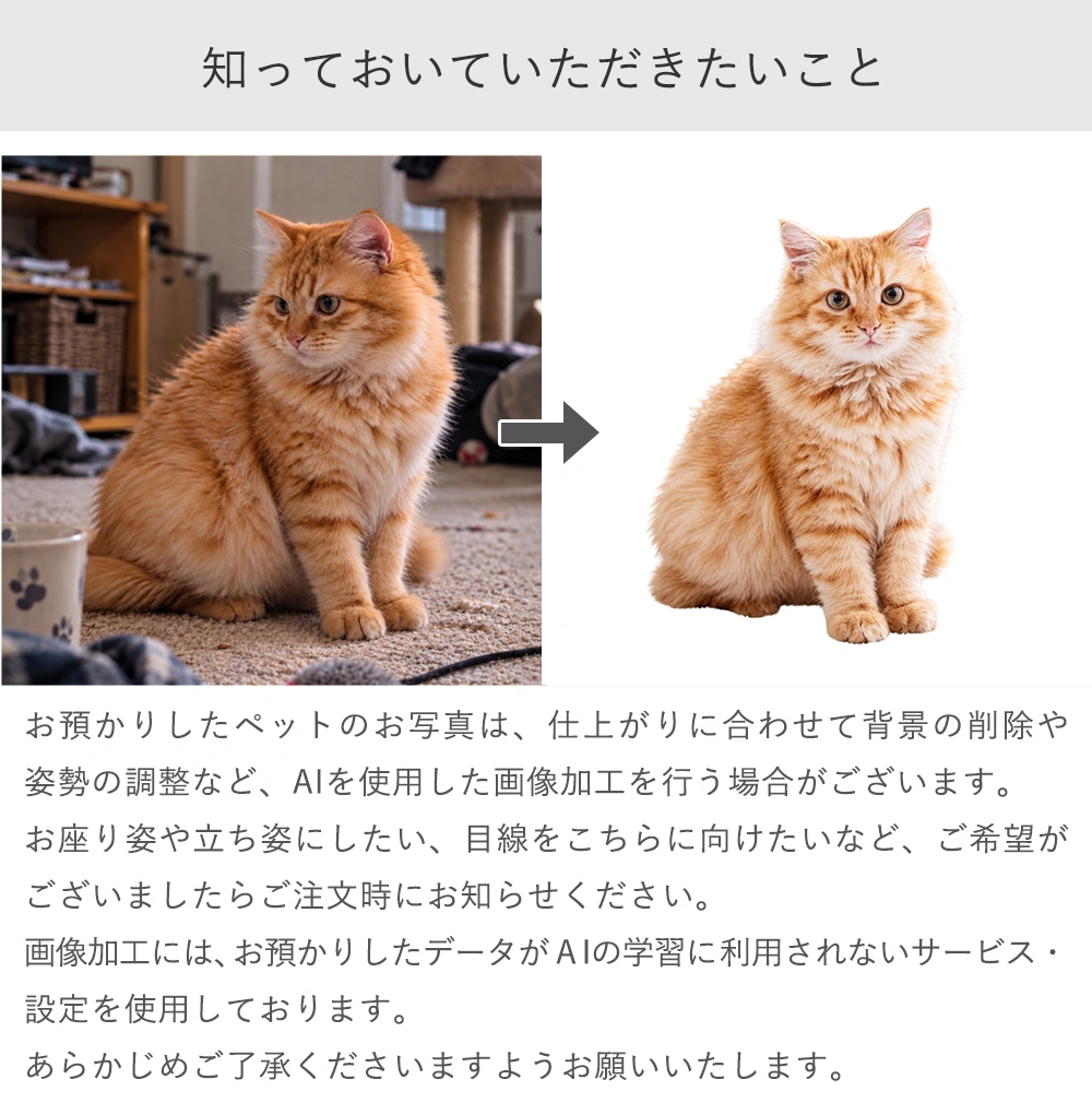 知っておいていただきたいこと