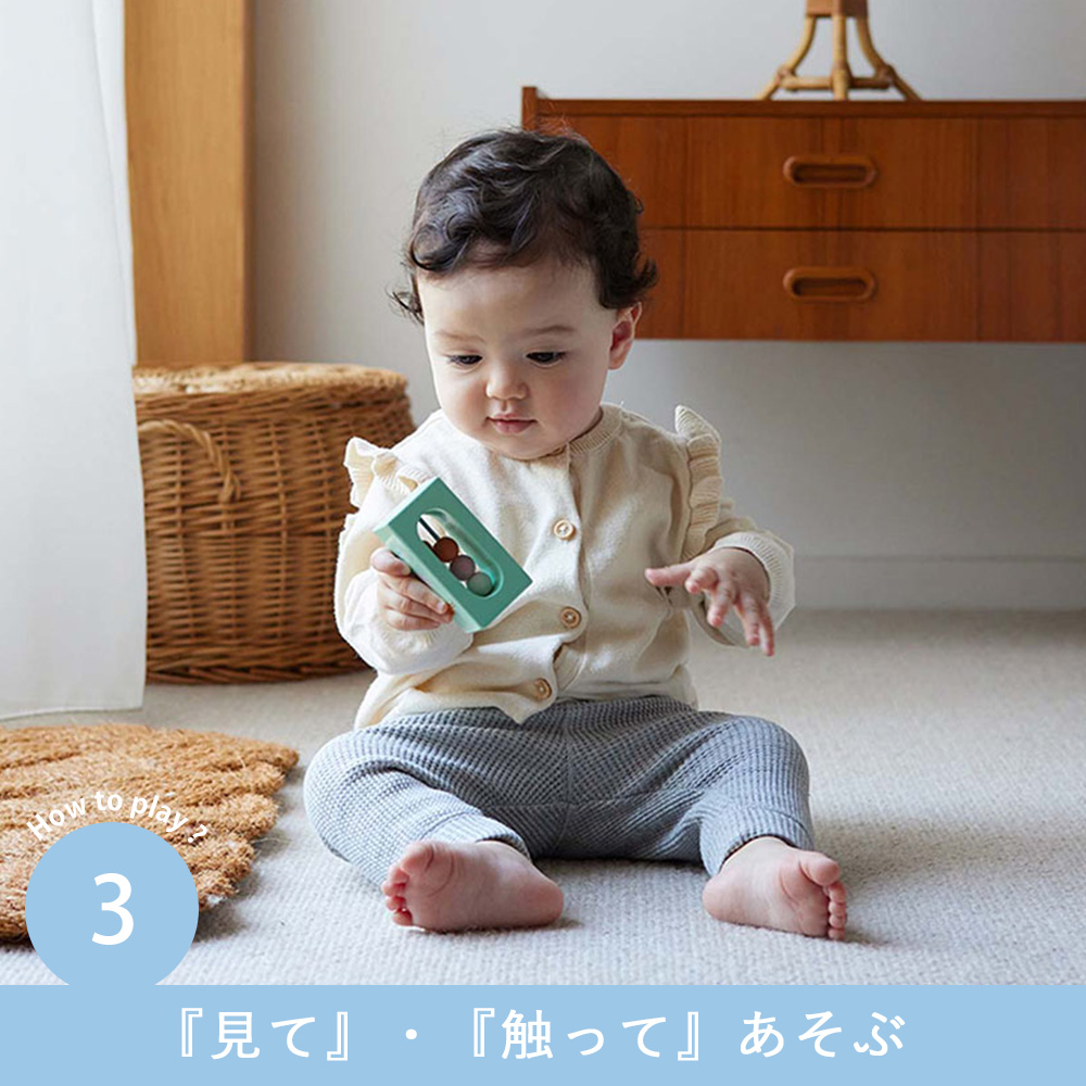 『見て』・『触って』あそぶ