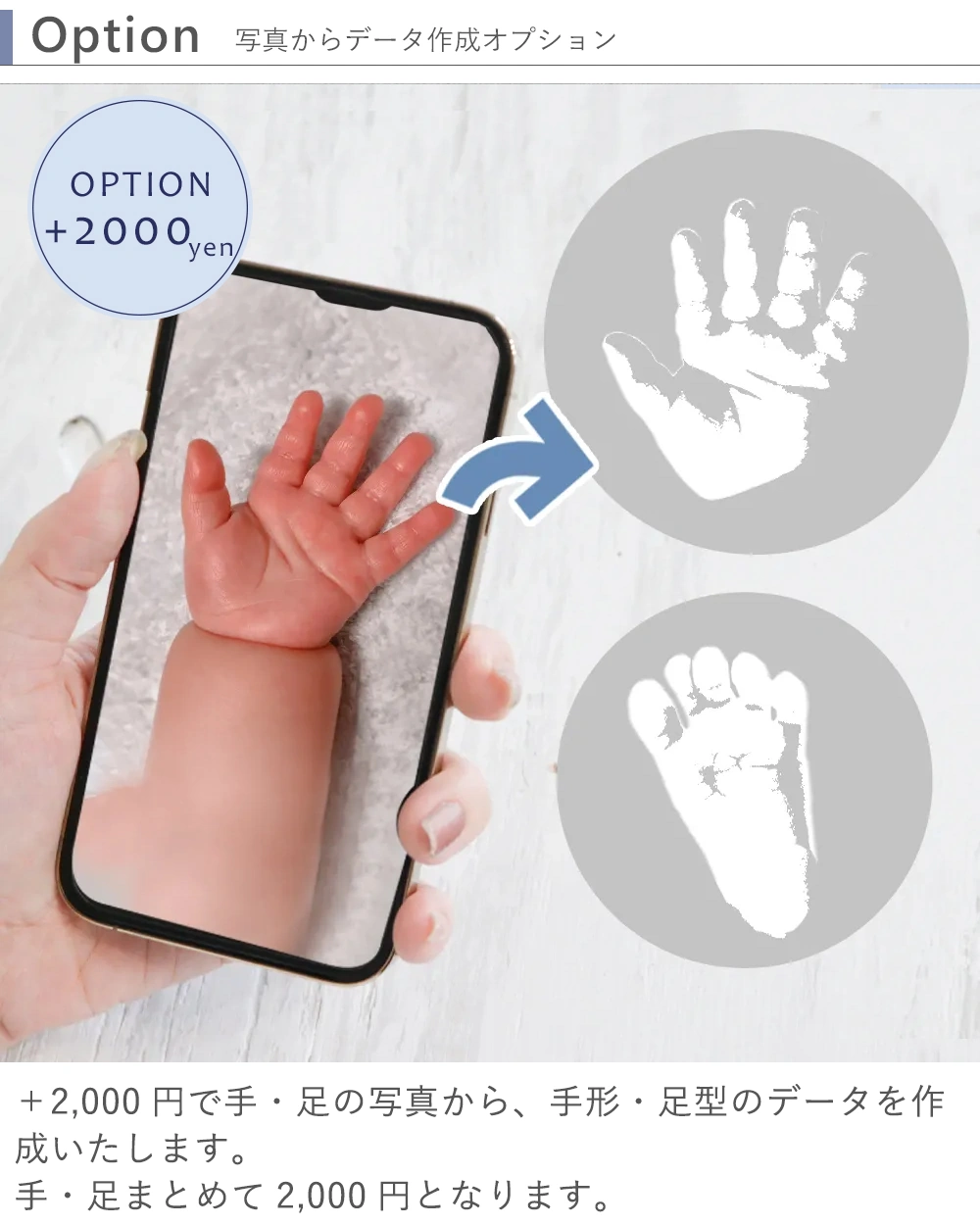 写真からデータ作成オプション