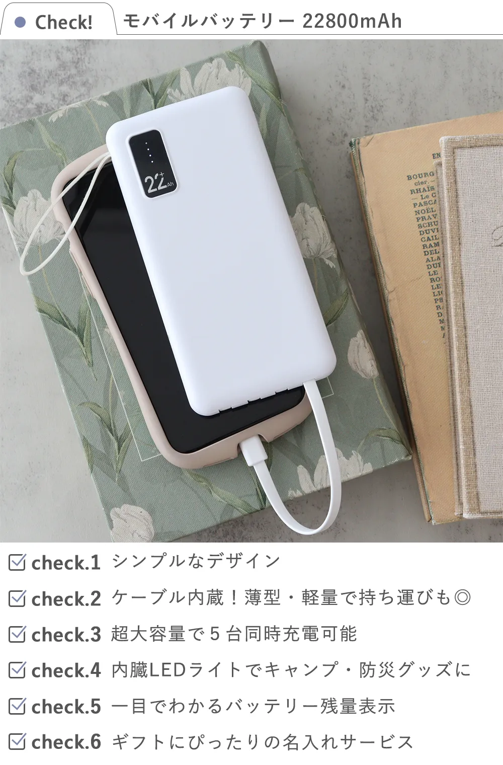 【名入れ】モバイルバッテリー 22800mAh check