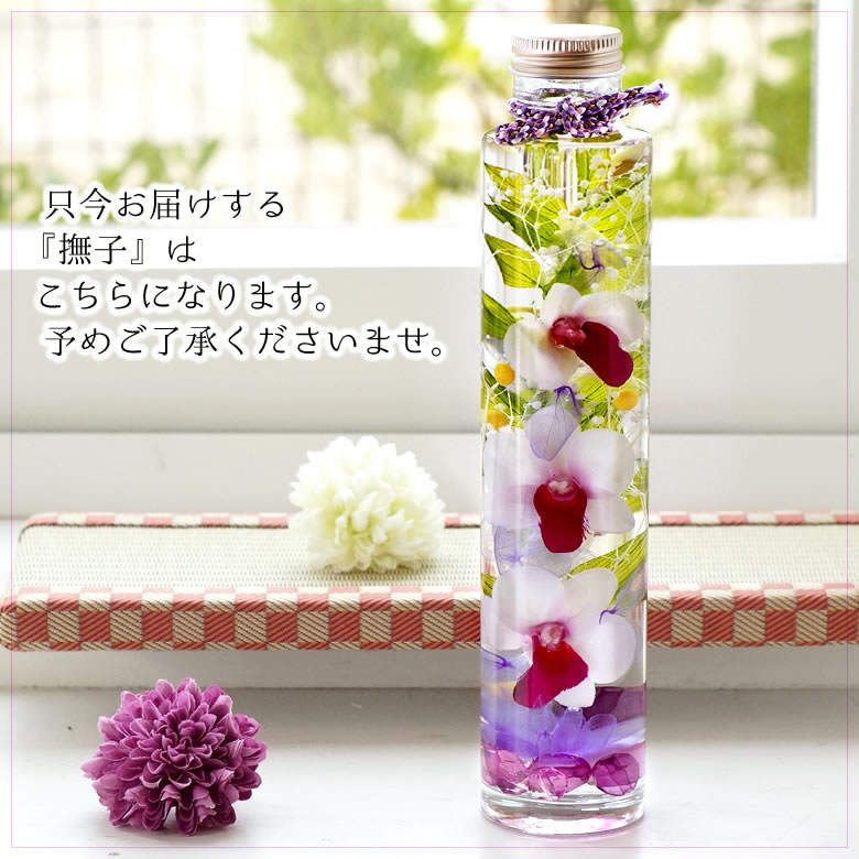 ただいま 撫子