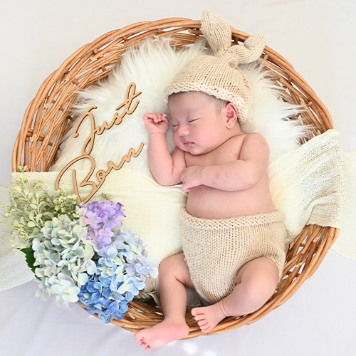 Petit bouquet Roundbasket ニューボーンフォト レンタルセット シーズナルブーケ (2泊3日)