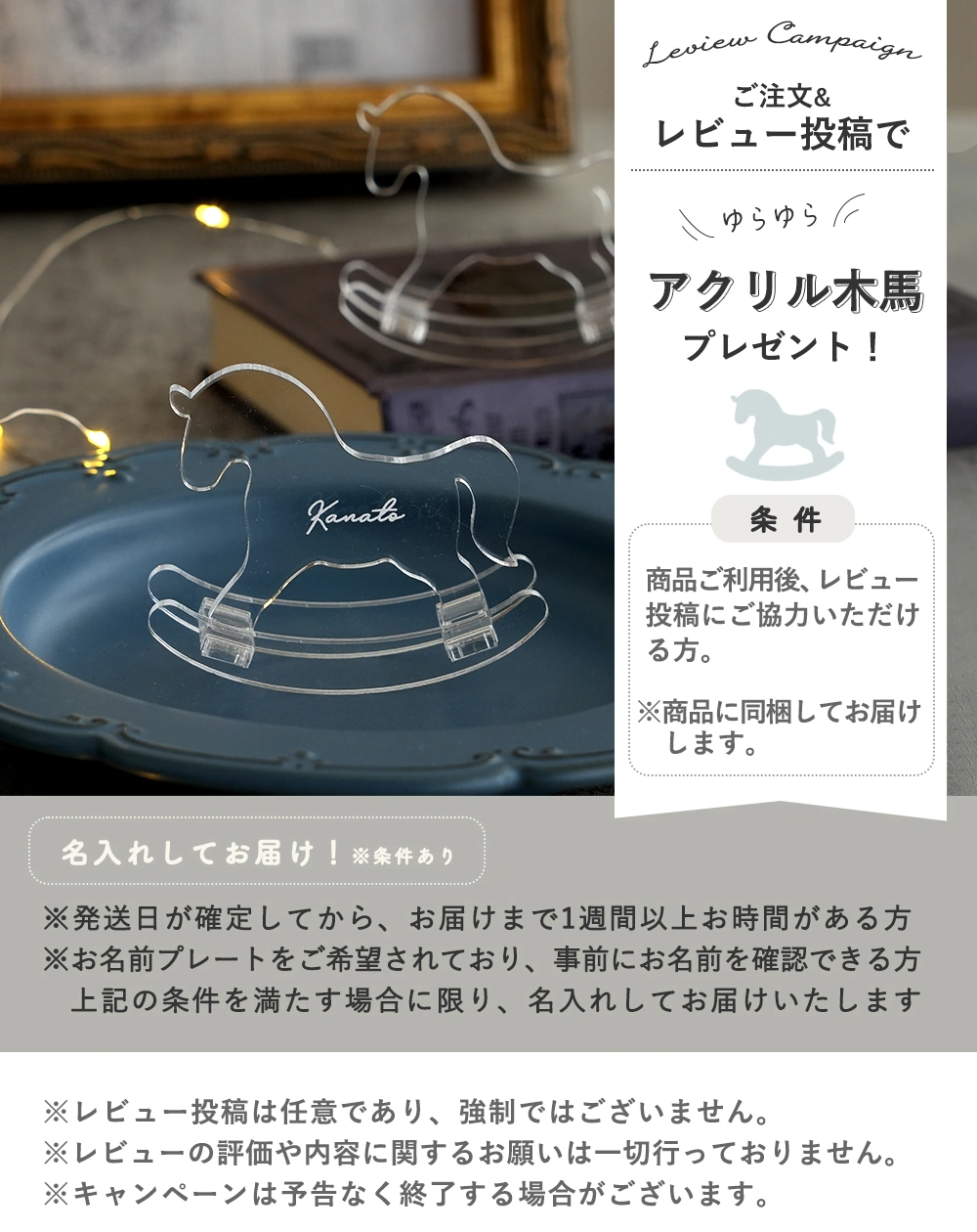 レビューキャンペーン