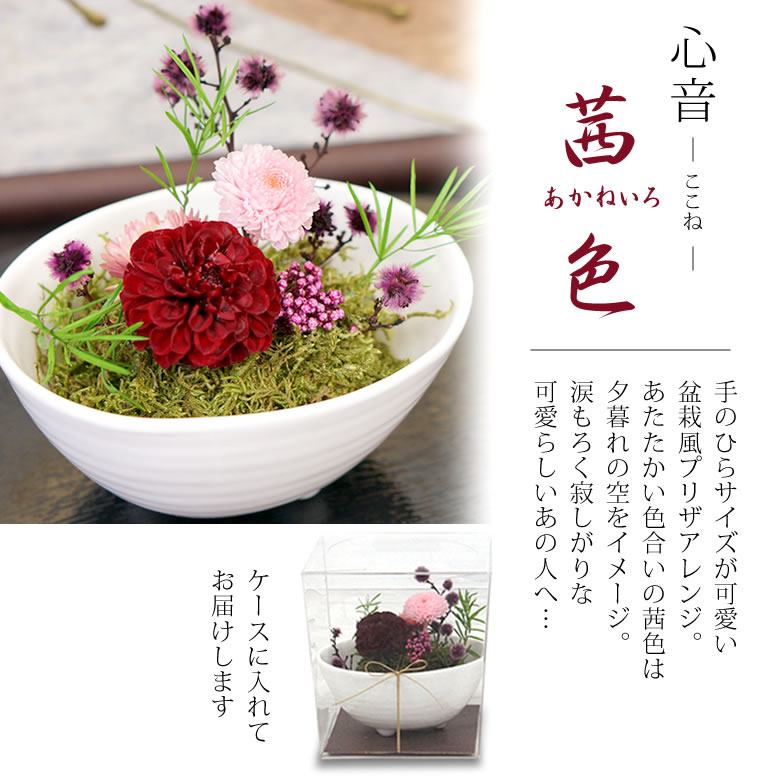 和風プリザーブドフラワー心音(ここね)茜色