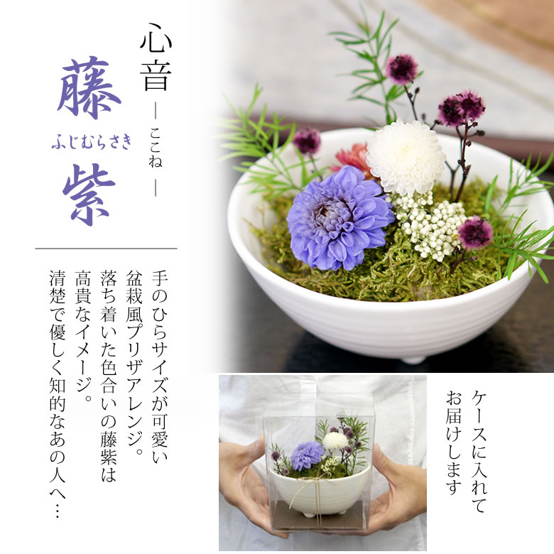 和風プリザーブドフラワー心音(ここね)藤紫