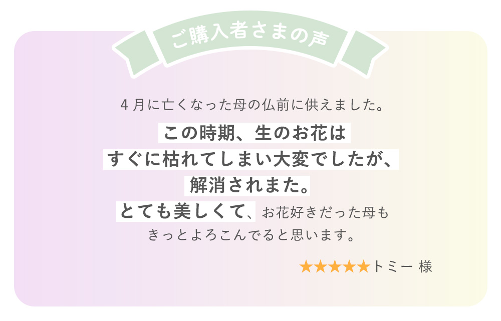 お客様の声　レビュー紹介