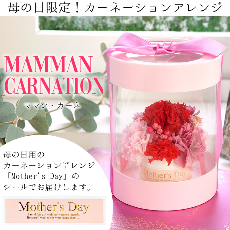 カーネーション