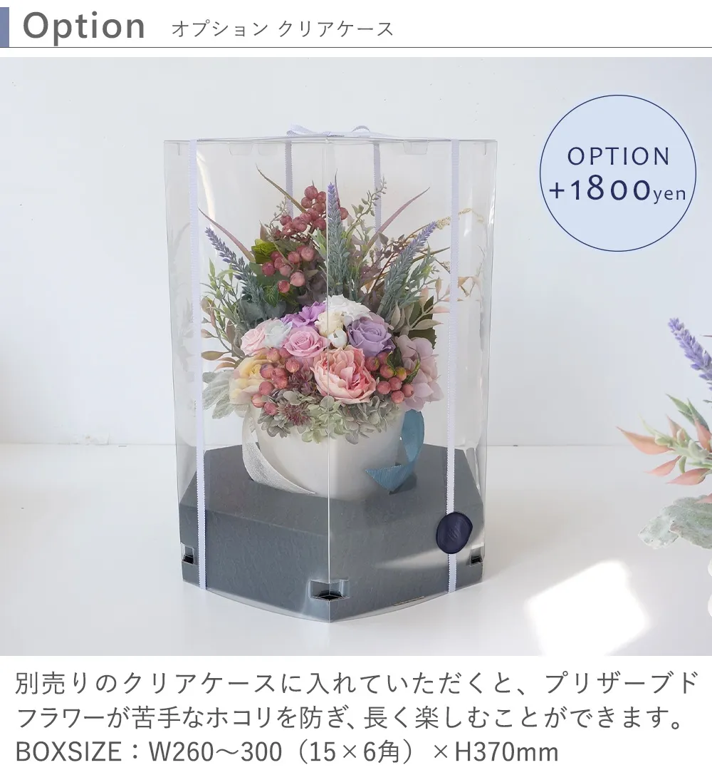 クリアケース