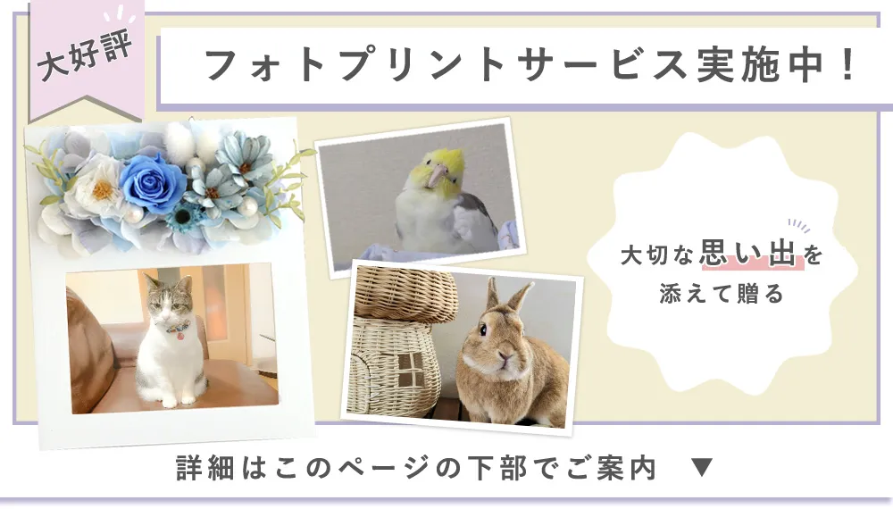 プリザーブドフラワー ペット仏花 フォトフレーム プレシャスメモリーズ