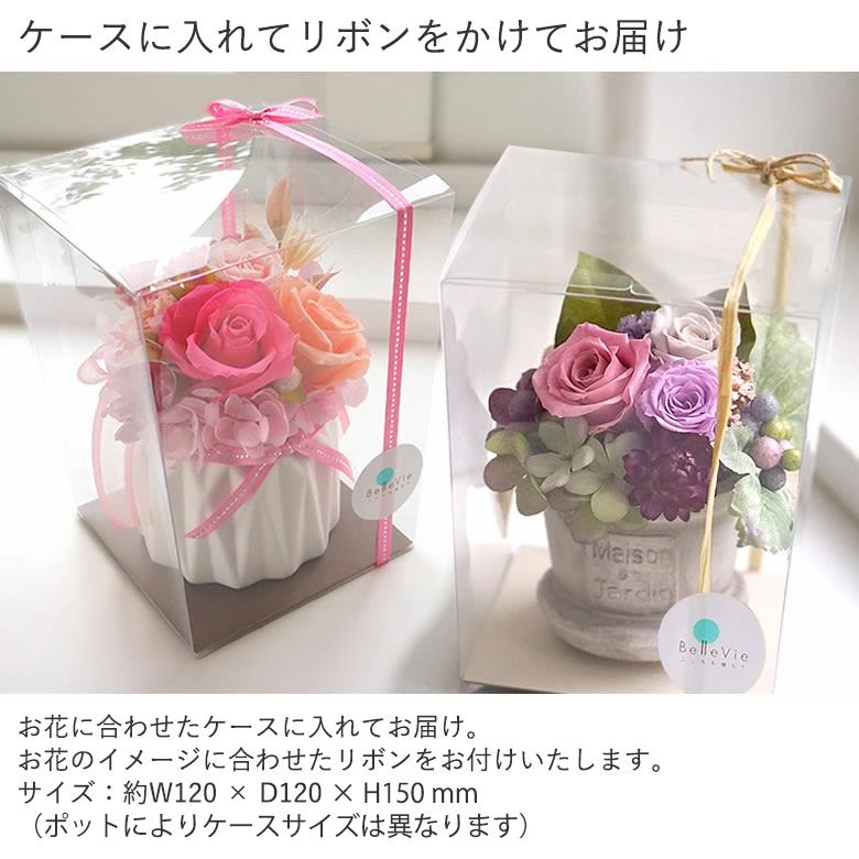 ケースに入れてお届け