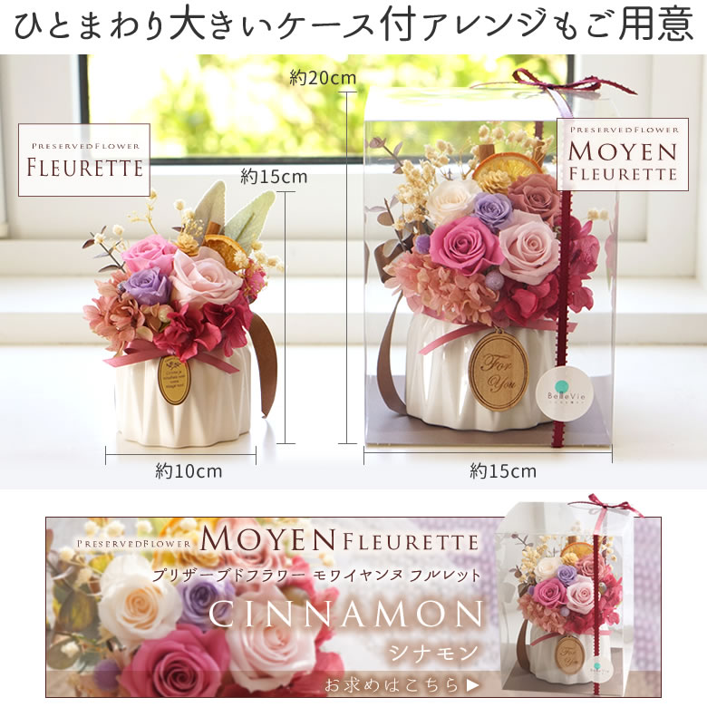 モワイヤンヌ シナモン