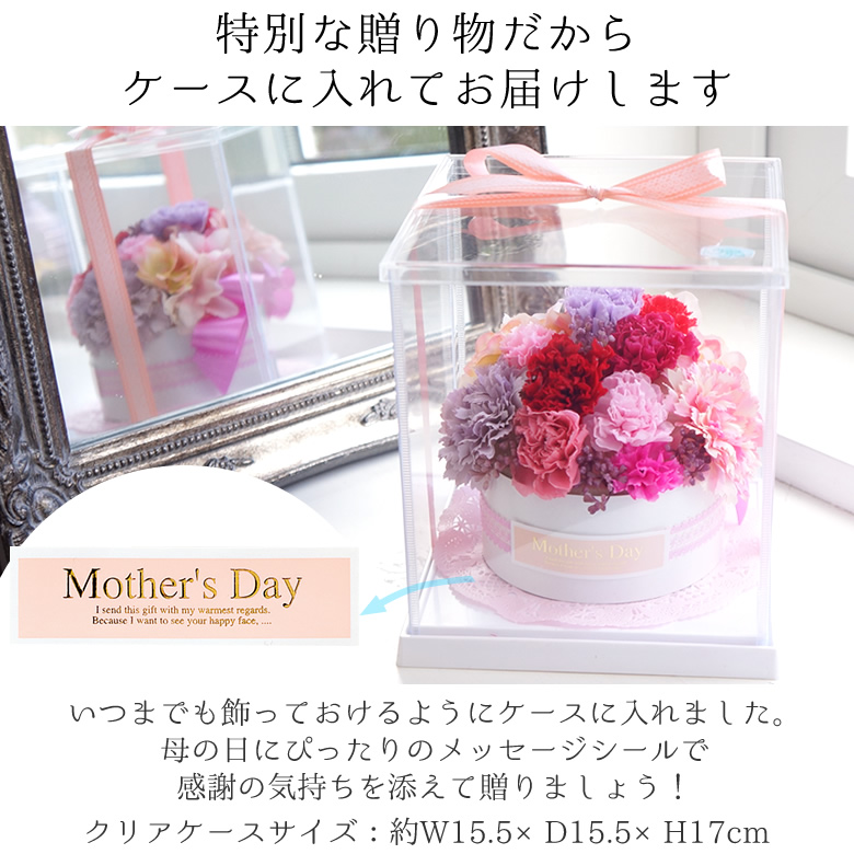ケースに入れてお届けします