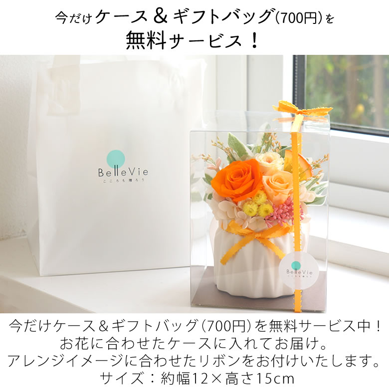 ケースに入れてお届けします