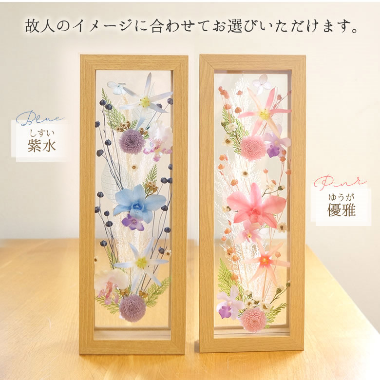 ピンクの優雅(ゆうが)、ブルーの紫水(しすい)