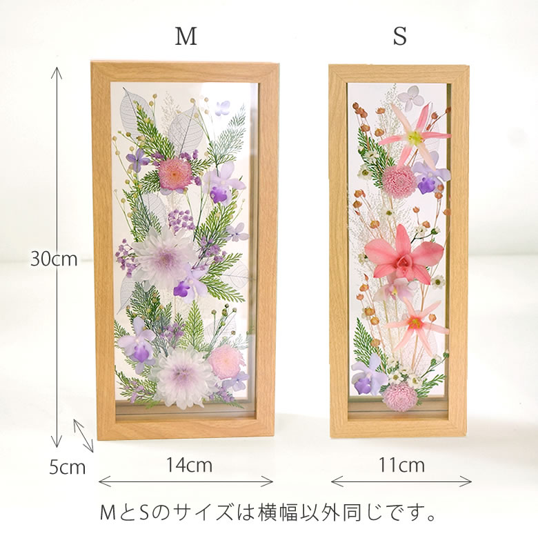 Sタイプより3cm程ヨコに大きくなっております。