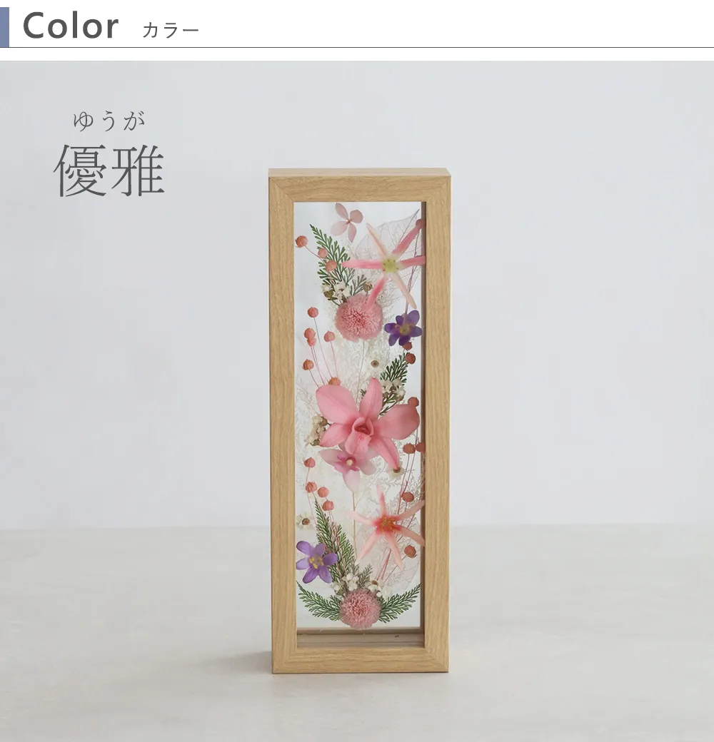 カラー：ピンクの優雅（ゆうが）