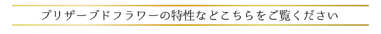 プリザの特性などこちらをご覧ください