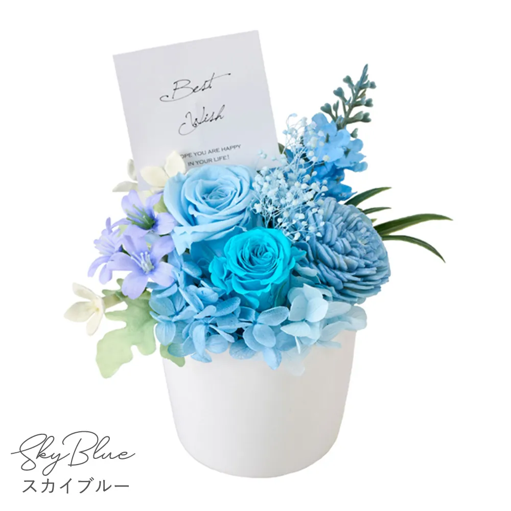 Color：スカイブルー