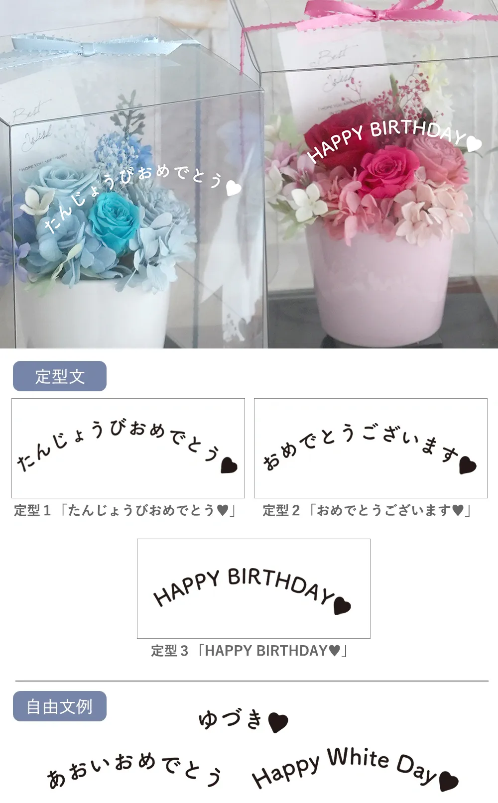 シールオプション