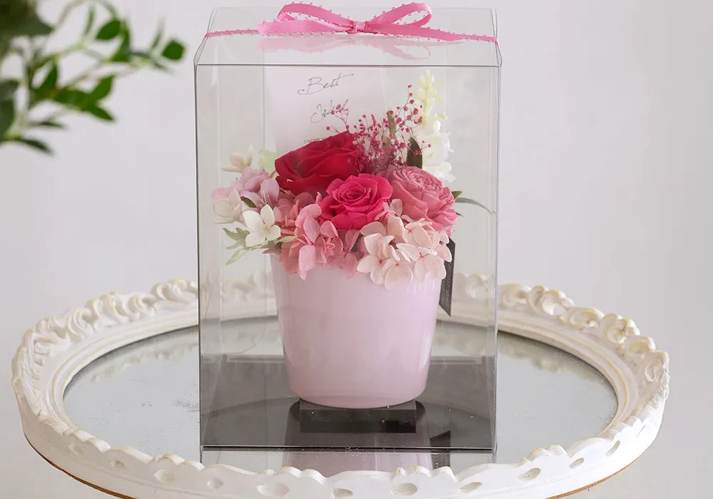 渡しやすく飾りやすいクリアケース入り　カレンポット