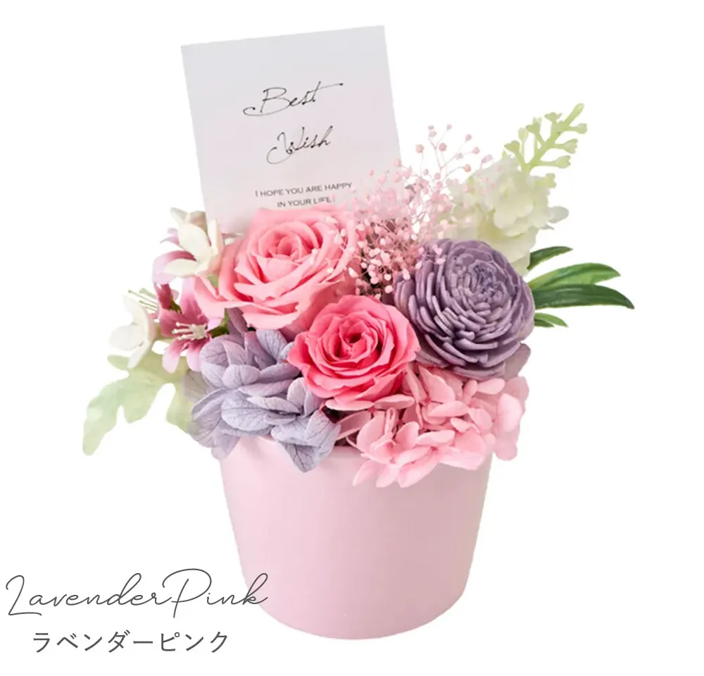 Color：ラベンダーピンク