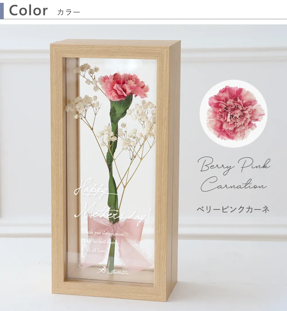 Color：温かく華やかなベリーピンクカーネ