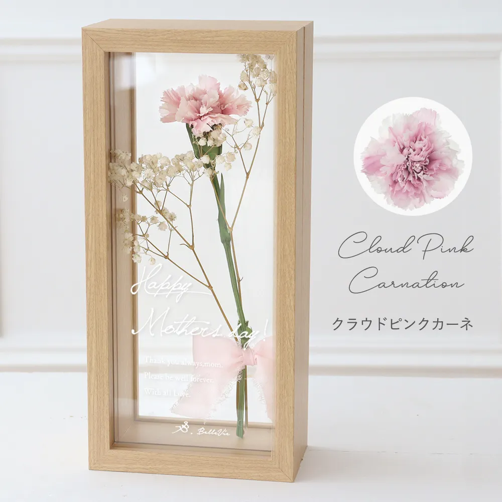 Color：はんなりピンクのクラウドピンクカーネ
