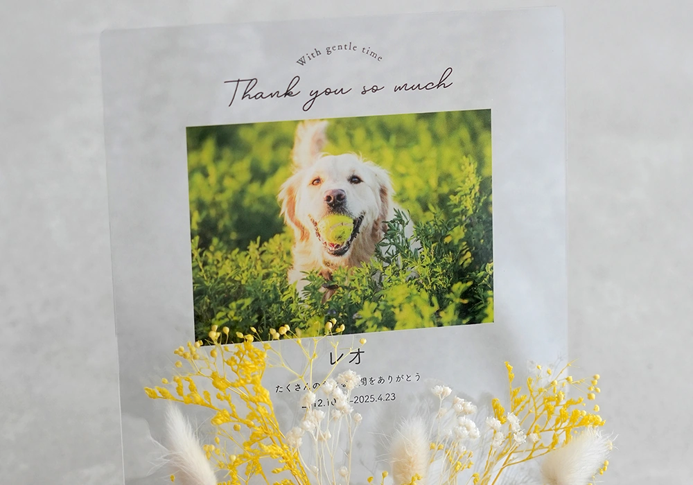 大好きな姿を残すアクリルボード