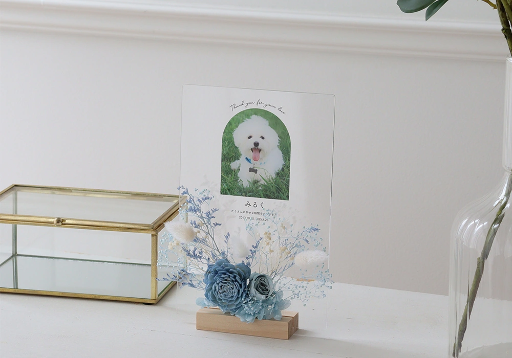 インテリアとしていつもそばに