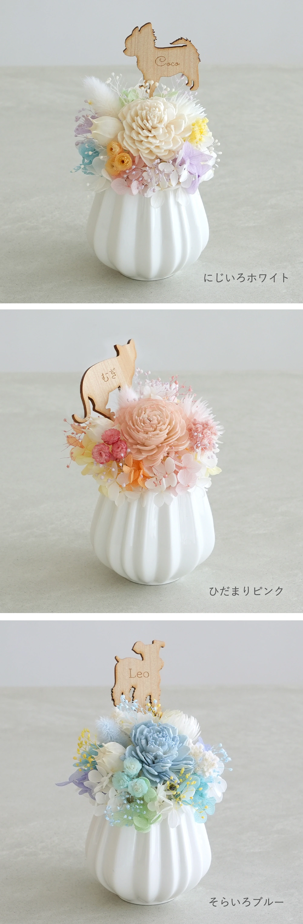 バリエーション
